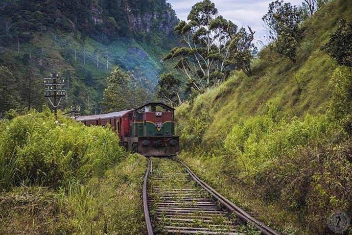 Le circuit le plus recommandé au Sri Lanka