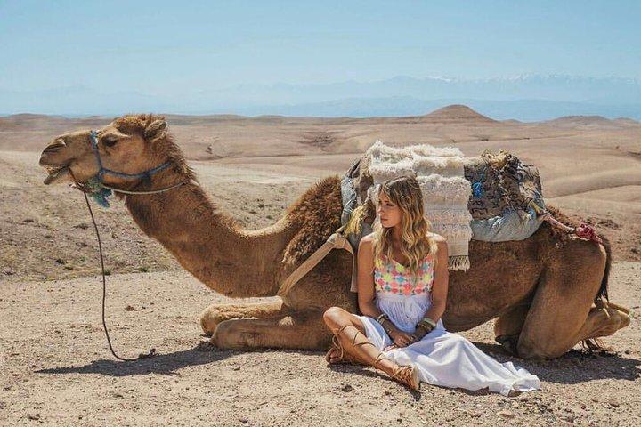 Agafay Övernattning med Quad & Camel & middag