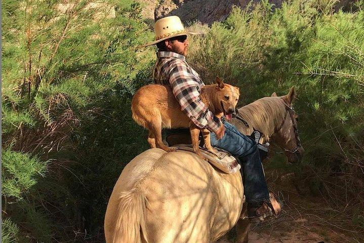 Las Vegas Horseback Ride with Meal