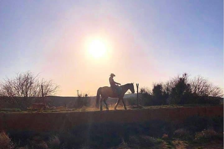 Wild West Sunset Horseback Ride with Dinner from Las Vegas