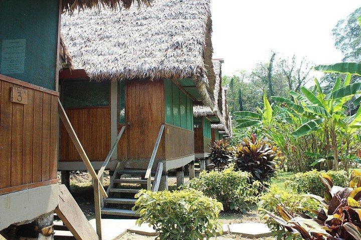 4 days 3 nights – Peruvian Tambopata Jungle