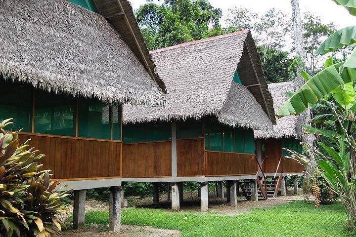 4 days 3 nights – Peruvian Tambopata Jungle
