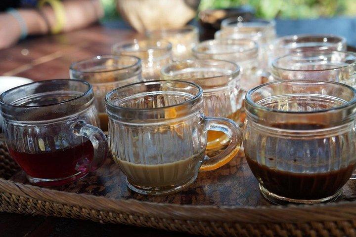 Ubud Swing, ris terrasse og vandfald højdepunkter tur