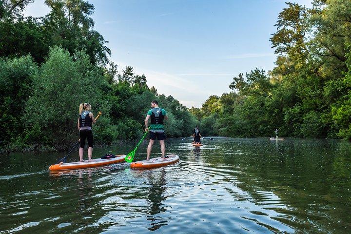 SUP Budapest: excursion au coucher du soleil