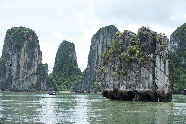 Demi-journée à la découverte de la baie d'Halong avec déjeuner, grotte du paradis et kayak