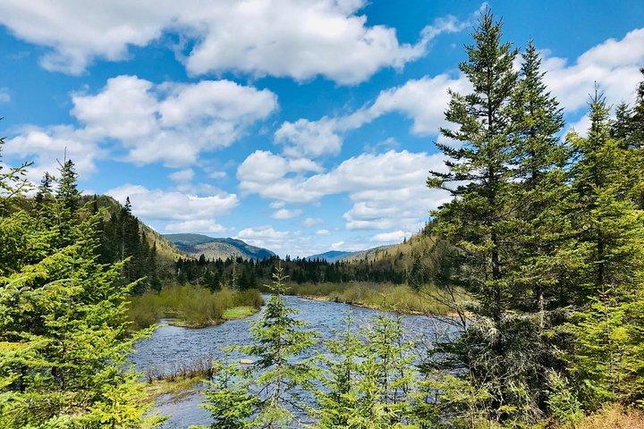 Randonnée guidée dans le parc national de la Jacques-Cartier
