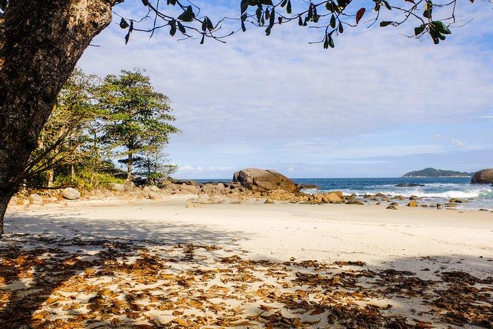 Navette en goélette vers Lopes Mendes au départ de Vila do Abraão