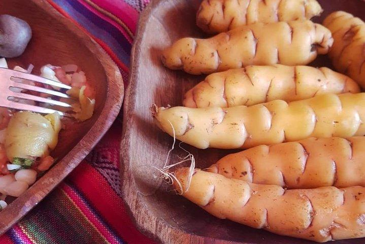 Learn Bolivian Cuisine/Cooking Class