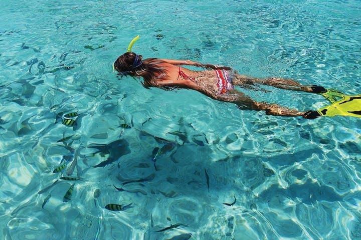 Tour a la Isla Coronado desde Loreto