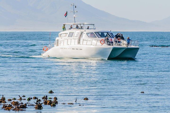 Private Tour: Hermanus Whale Watching Boat Trip & Wine Tasting
