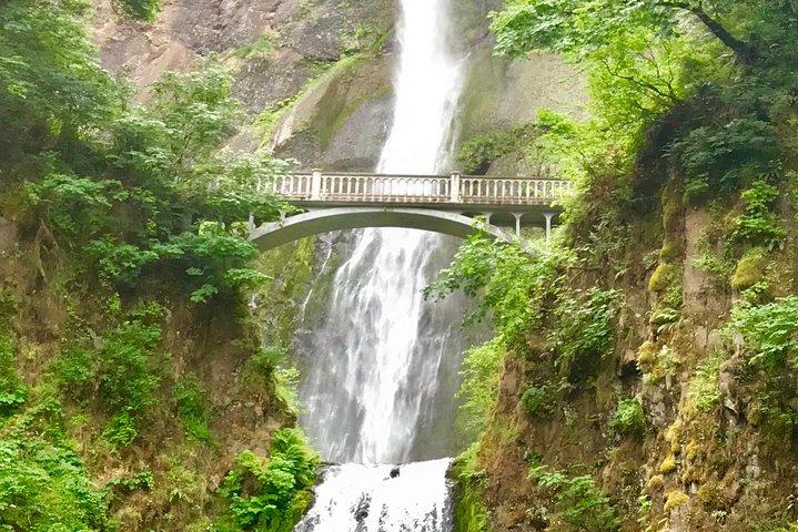 Privé - 1/2 dag Columbia River Gorge & Waterfalls Tour vanuit Portland