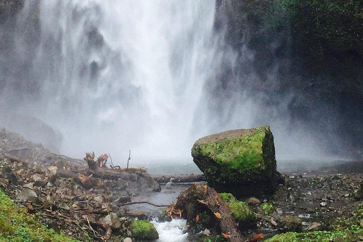 Privé - 1/2 dag Columbia River Gorge & Waterfalls Tour vanuit Portland
