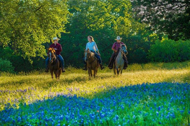 Paardrijden op Scenic Texas Ranch in de buurt van Waco
