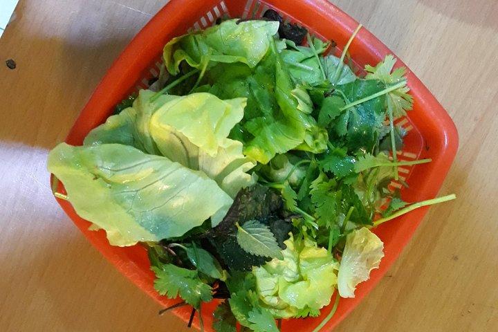 本物の食通と行く小グループハノイストリートフードツアー