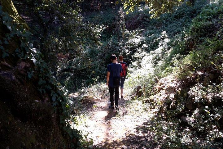 Excursão a pé pelo campo de Corfu