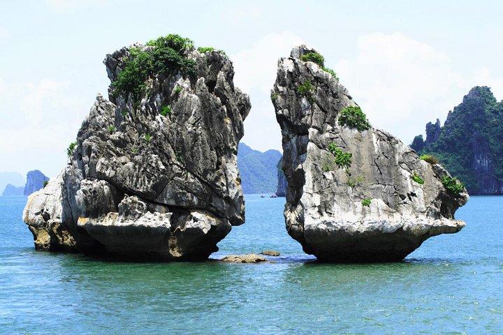 Meilleur croisière premium dans la baie d'Halong au départ du port international d'Halong