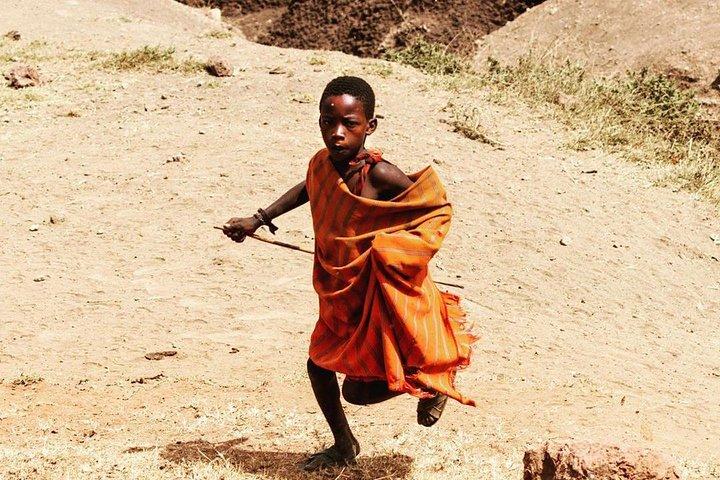 Safari de campamento de 6 días en Tanzania