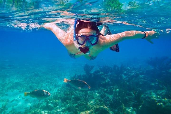 Passeio de um dia em Cancún com transporte