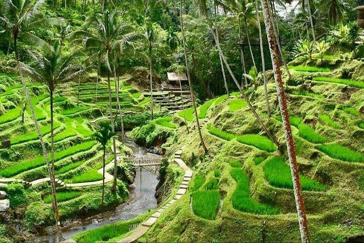 Tour privato tutto compreso di 6 giorni al meglio di Bali e Nusa Penida
