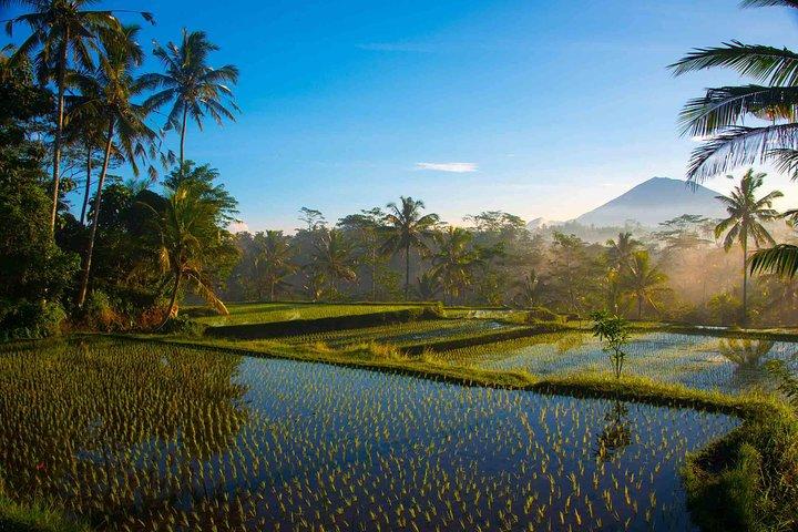 Bali halvdagsfotografering