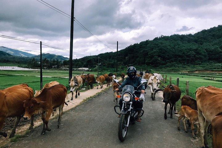 Tour Easyrider desde Dalat a Muine - 2 días