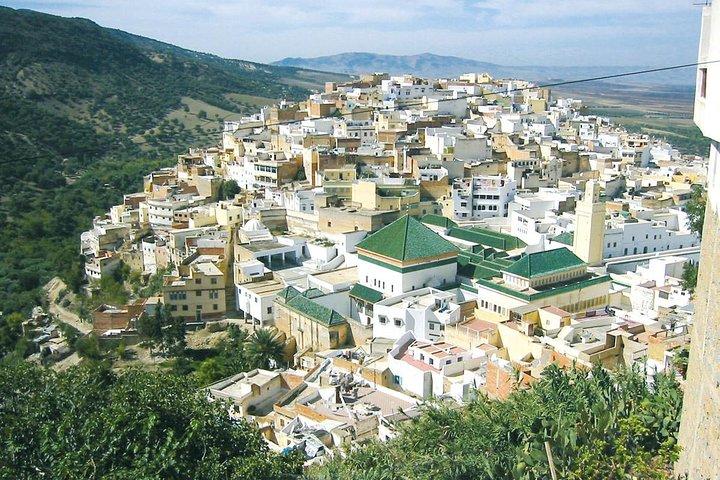 En dagstur från FEZ genom MEKNES - VOLUBILIS - MOULAY IDRISS