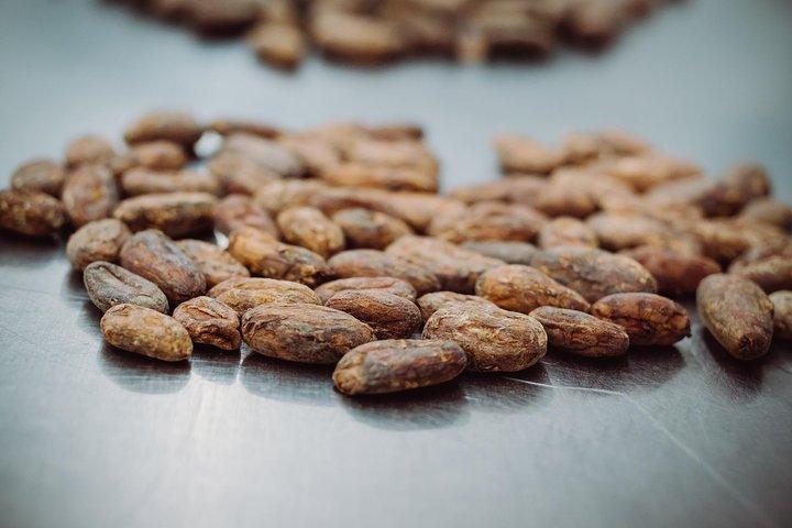 Ultimate Chocolate Tour in Montreal with Included Tastings