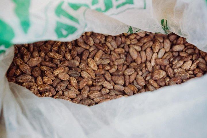 Ultimate Chocolate Tour in Montreal with Included Tastings