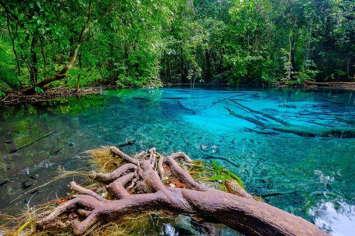 Verbazingwekkende Full-Day Natuur Ontdekking in Krabi