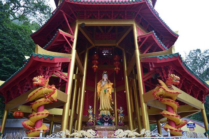 クラビで驚きの1日自然体験