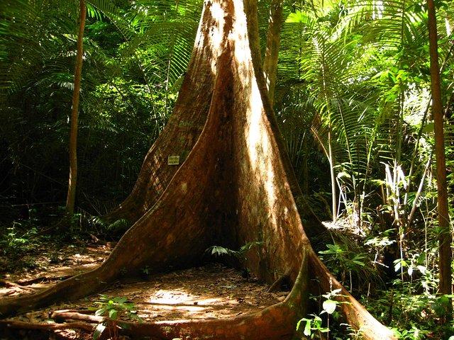 Fantastisk naturopdagelse hele dagen i Krabi