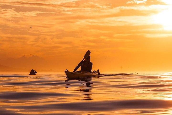 Kayak dans la baie de la Table