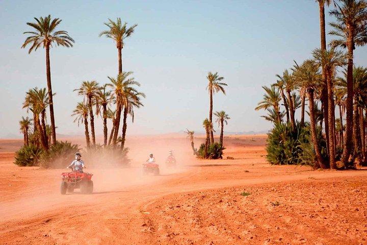 Quad Biking Adventure Tour in Marrakech Palmenhain