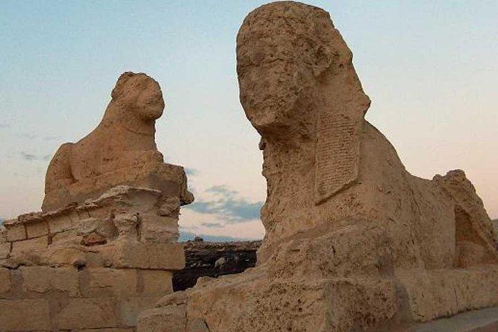 カイロからFayoum OasisとWadi el Rianへのツアー