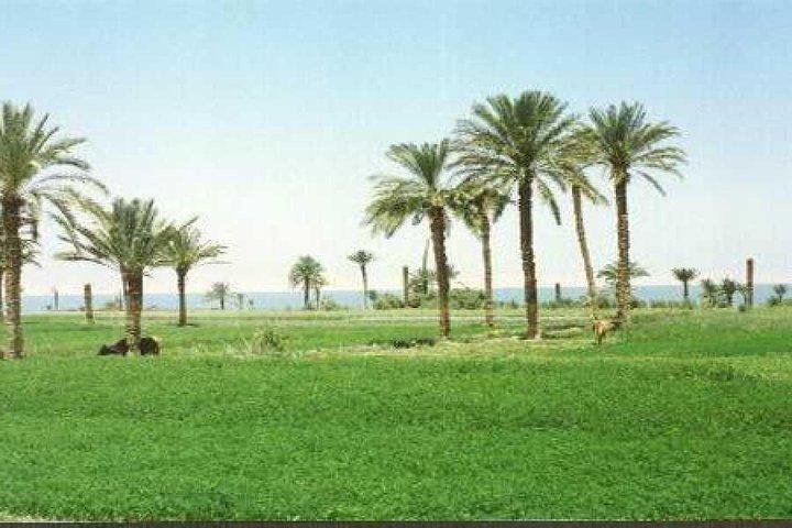 カイロからFayoum OasisとWadi el Rianへのツアー