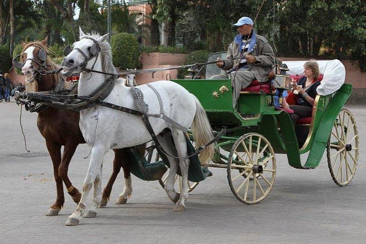 Excursión de un día a Marrakech desde Agadir