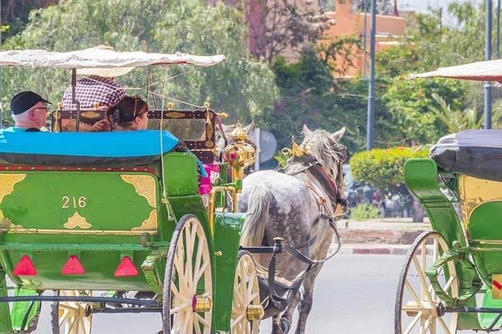 Excursión de un día a Marrakech desde Agadir