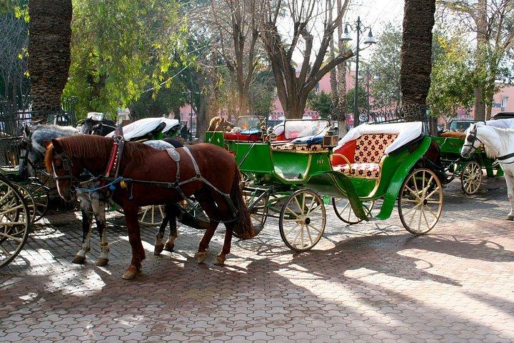 Excursión de un día a Marrakech desde Agadir
