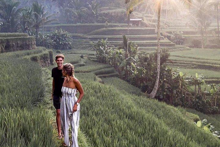 Ubud Swing, ris terrasse og vandfald højdepunkter tur