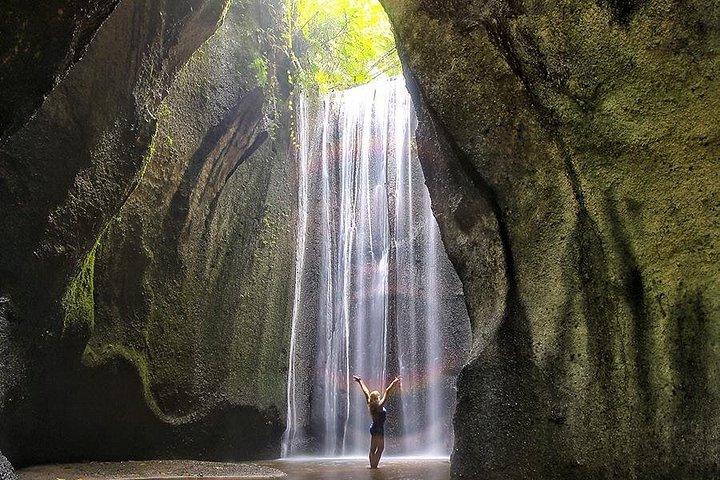 Ubud Swing, ris terrasse og vandfald højdepunkter tur