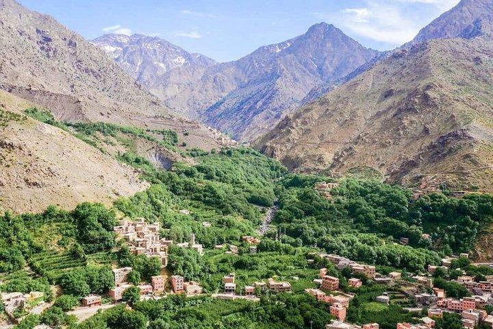 Delad grupp dagstur från Marrakech till Ourika Valley & Atlas Mountains