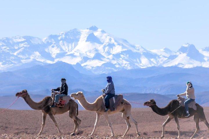日帰り旅行：ベルベル村と4つの渓谷アトラス山脈＆ウォーターフーl＆ラクダ乗り
