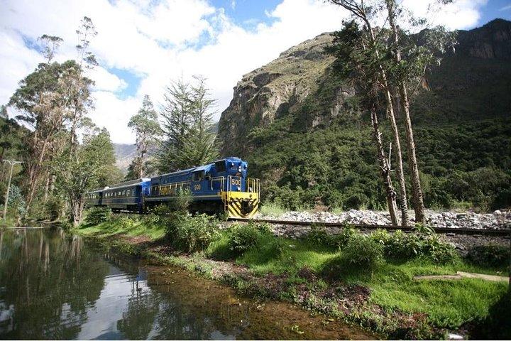 Machu Picchu Tour de dia inteiro de trem de Cusco