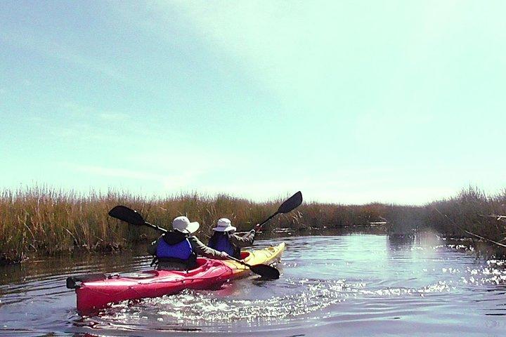 Isola di Kayak uros (mezza giornata)