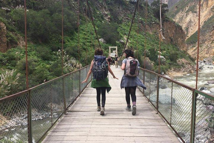 Trek 2 jours 1 nuit / Canyon de Colca