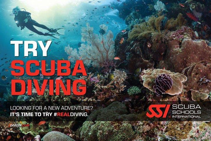 Kata Beach Diving for Beginners Pool Training and 1 Beach Dive