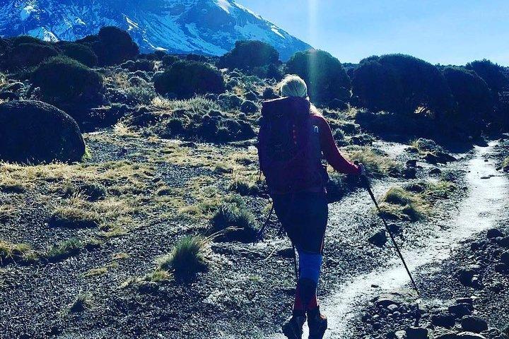 8 dage Kilimanjaro Lemosho rute detaljer