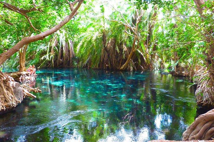 Chemka Hot Springs Tour fra Moshi
