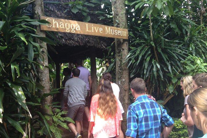 Marangu & Chagga - Kulturdag Tour form Moshi