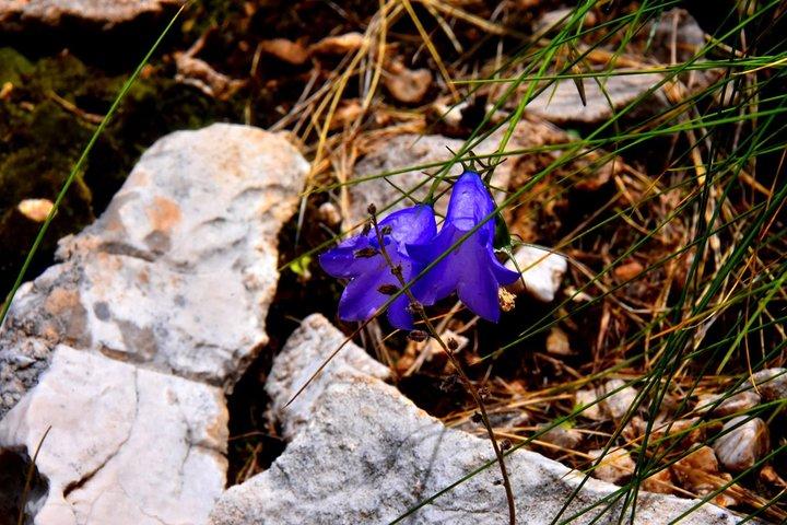 Summit Albania Hiking, Holy Mount of Tomorr, Off Road Albania, Berat (ARG)